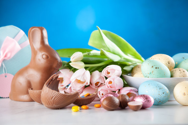 chocolate bunny and eggs with tulips