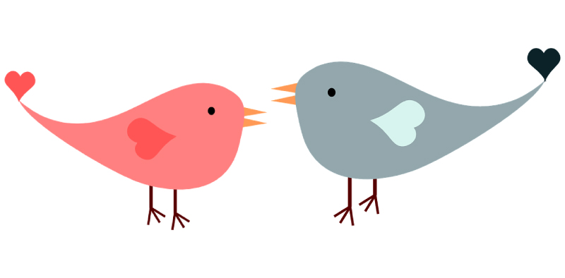 A pink graphic design lovebird facing a grey one and has a heart shaped wing and a little heart at the end of their tails